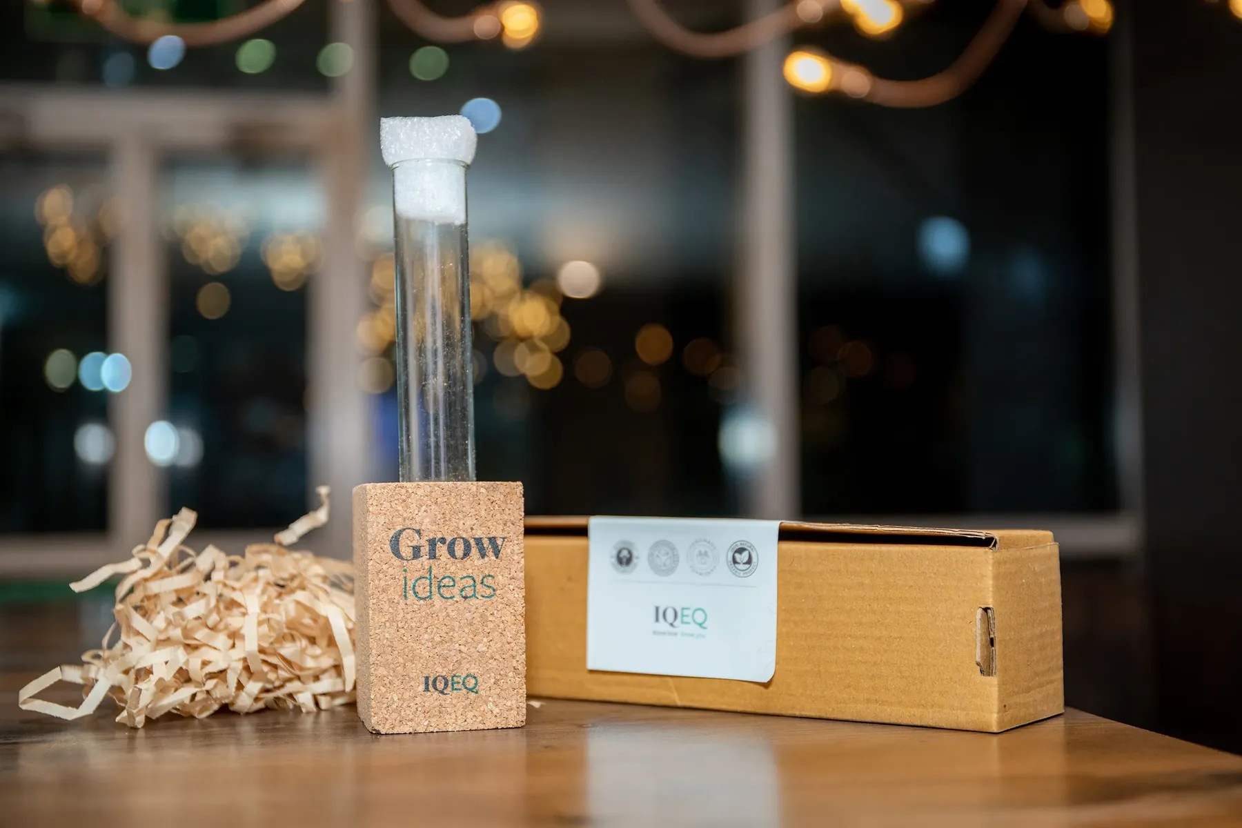 An IQ-EQ Grow Ideas plant kit with cork holder and box on a table.
